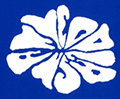 JSM (The Japanese Society of Mycoplasmology)